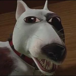 Meet your Posher, Khloee